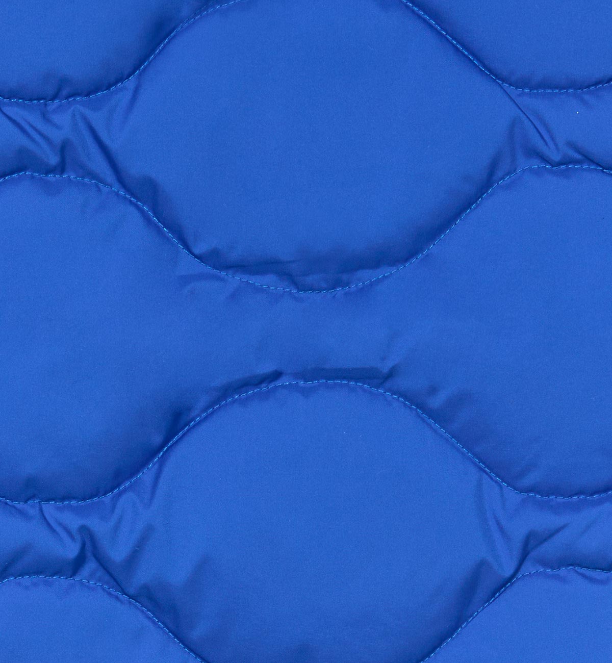 Blue Gilet