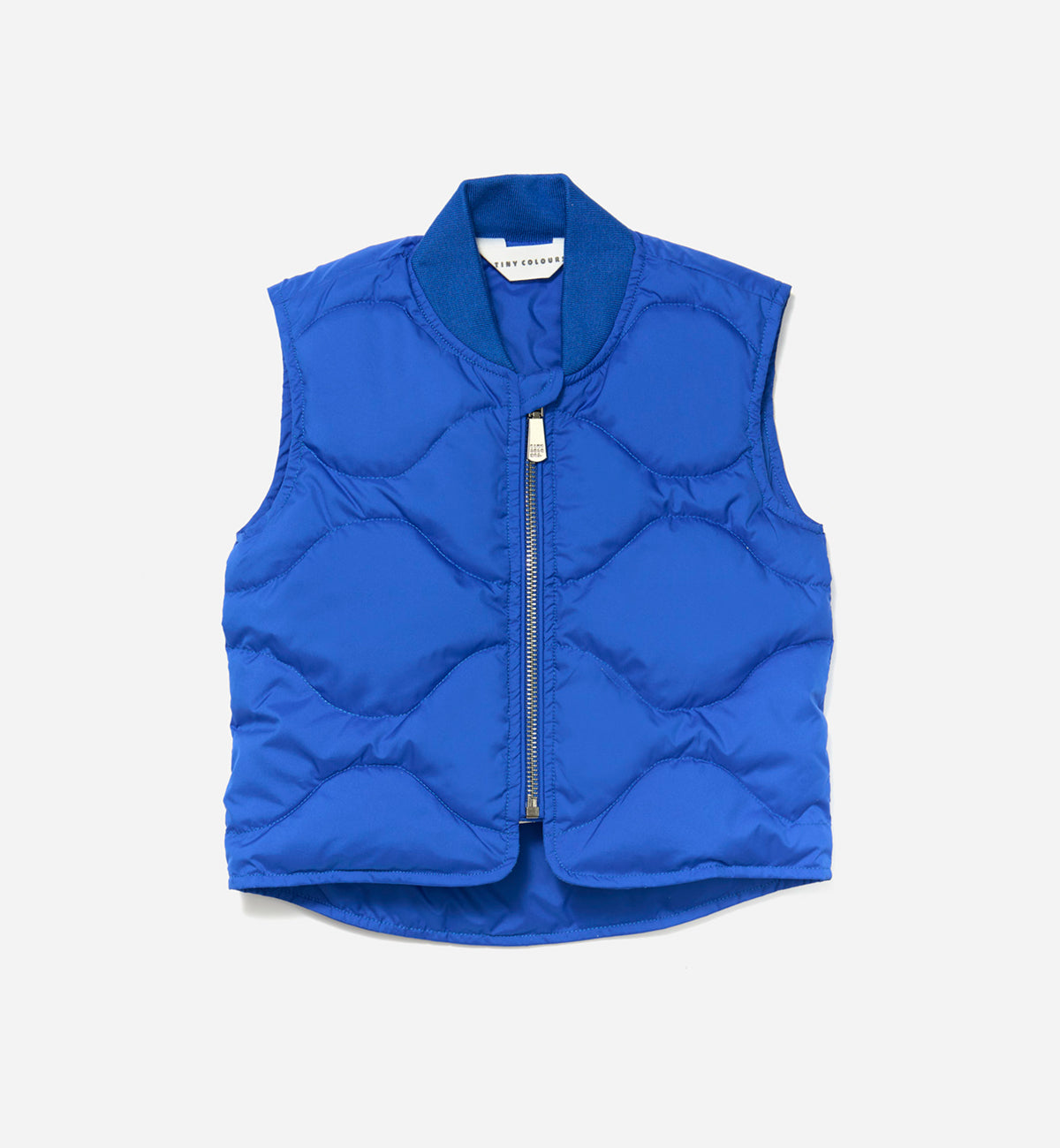 Blue Gilet