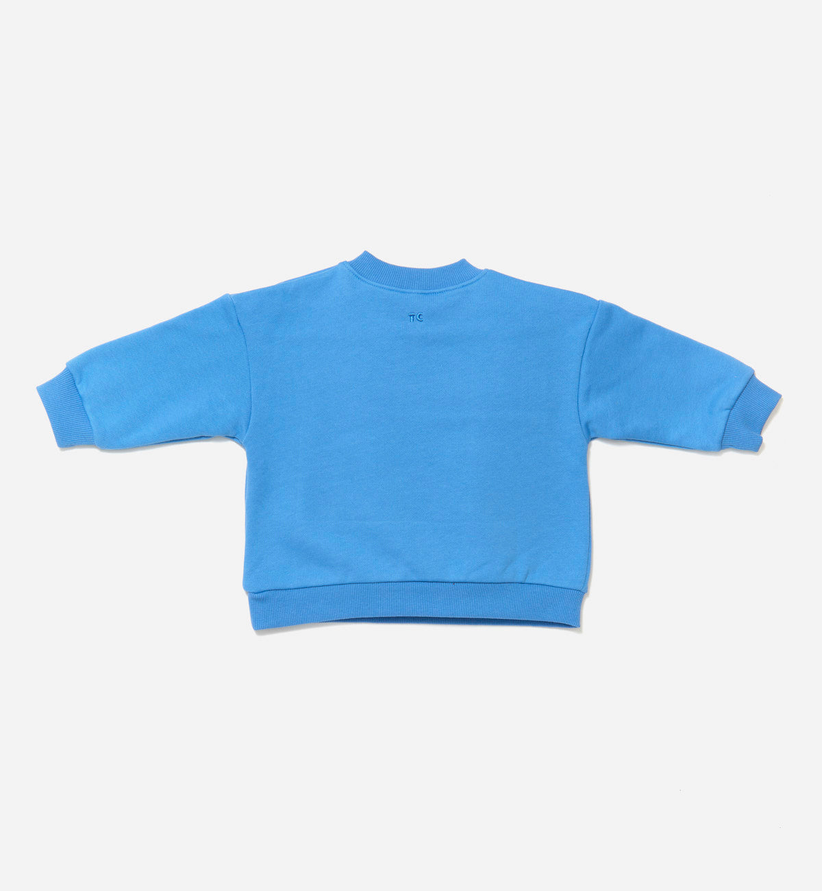 Blue Sweatshirt